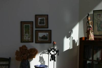 Shadow puppet in the window light