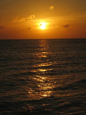 u41/teamj5/medium/26937933.Picture068.jpg
