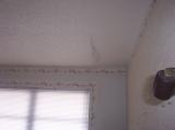 bedroom ceiling, swelling, 9/06