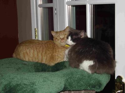 Rusty and Jasper Jr