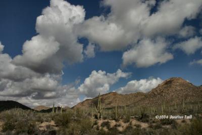 SaguarosAndClouds.JPG