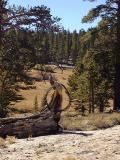 Wire Loop, Little Cottonwood Creek