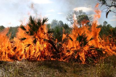 Cargill Fertilizer Controlled Burn