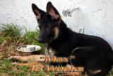 Max