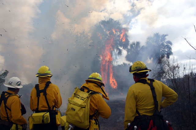 Cargill Fertilizer Controlled Burn