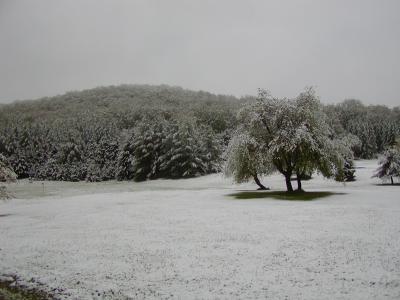 Potter County, Pa. 4