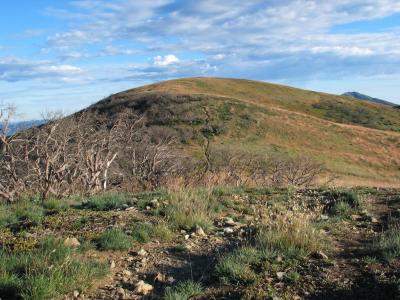 Feathertop is far...