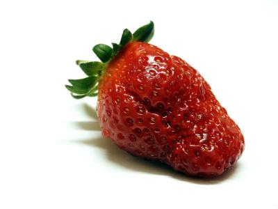 Strawberry  2004-03-12  006.jpg