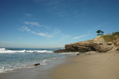 DSC_3365a.jpg