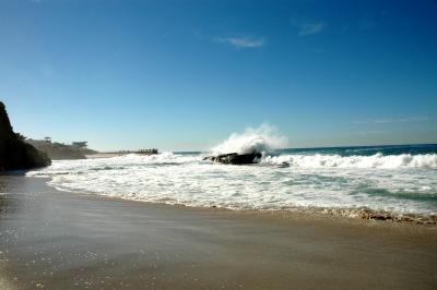 DSC_3366a.jpg