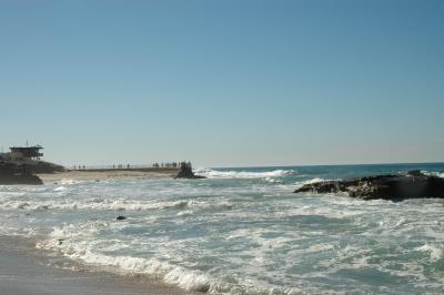 DSC_3375a.jpg