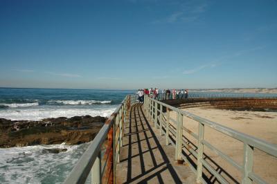 DSC_3392a.jpg