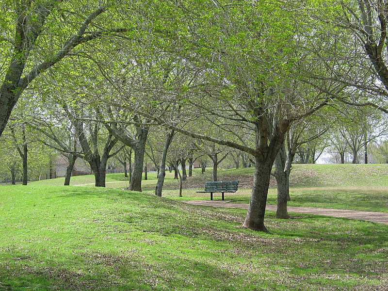Ash Grove