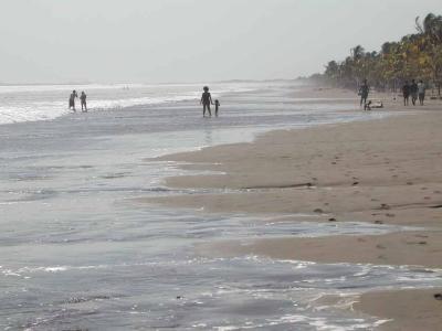 u41/trescott/medium/33506434.PanamaBeach.jpg