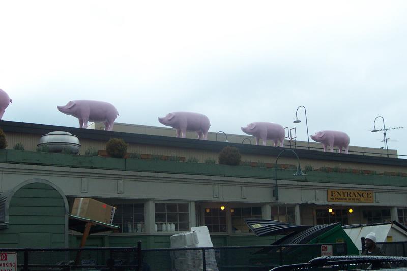 Seattle_1390 Pike Place Piggies.JPG