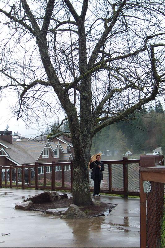 Seattle_1442.JPG