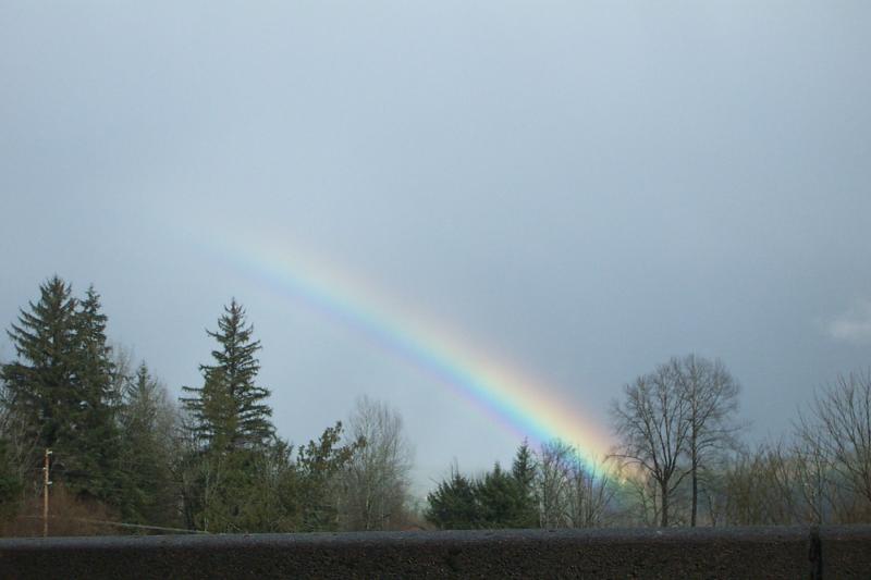Seattle_1451 rainbow.JPG