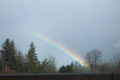 Seattle_1451 rainbow.JPG