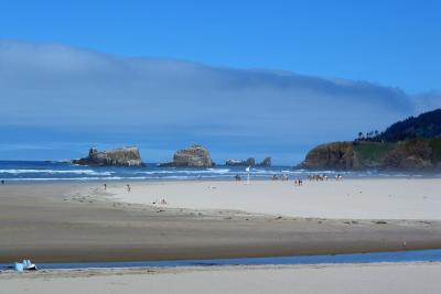 Horses at Cannon Beach