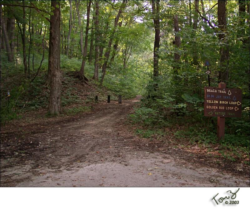 Warren Dunes State Park Trails