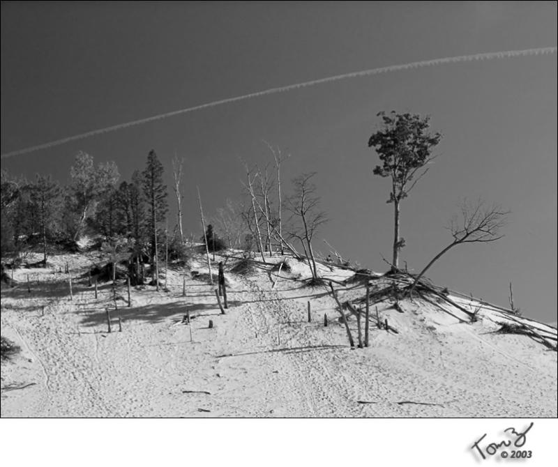 Warren Dunes High atop a Dune - Black and White