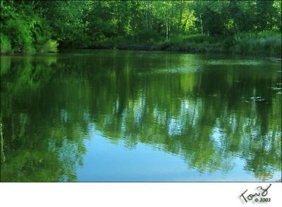 Reflection on the Lake