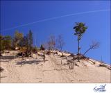 Warren Dunes High atop a Dune