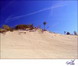 Warren Dunes View of Dune Top