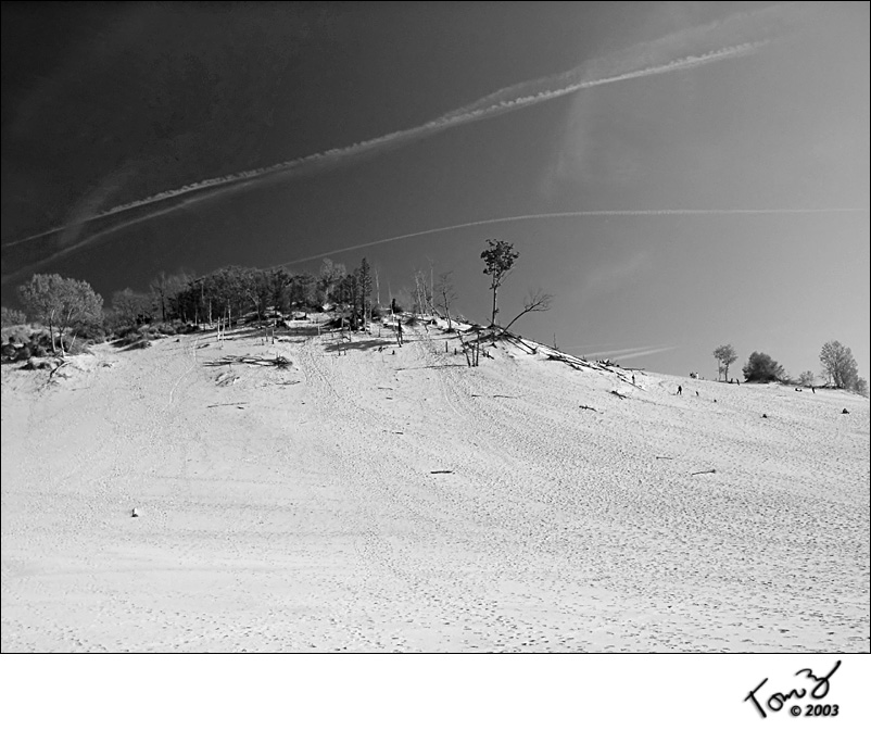 Warren Dunes View of Dune Top - BW