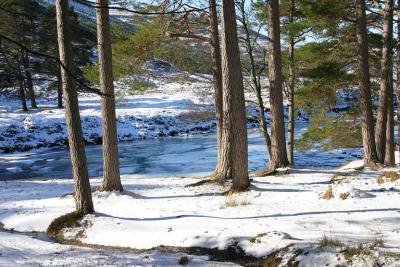 River Dee at the Linn of Dee