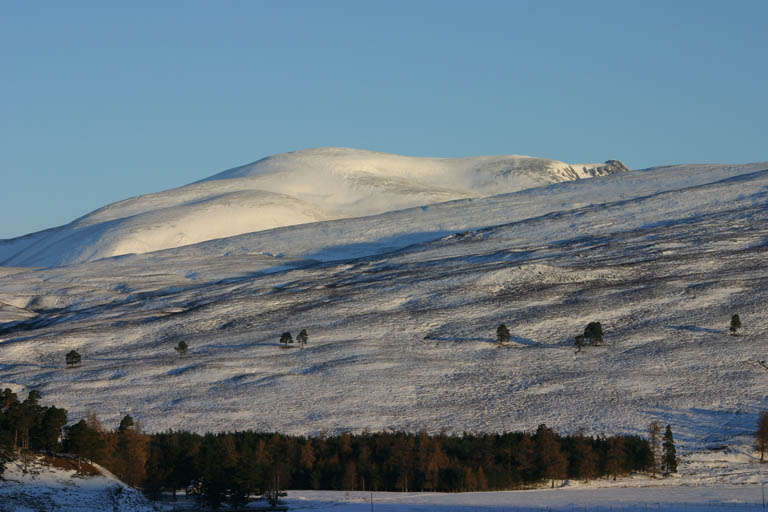 Beinn a Bhuird