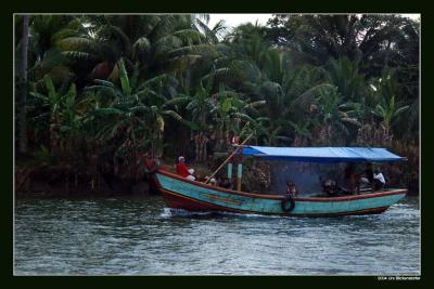 u41/uese/medium/33265013.pangandaran10Kopie.jpg