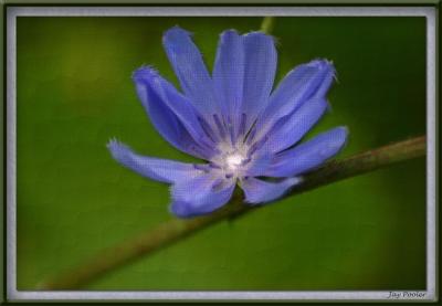 162_6267 copy.jpg