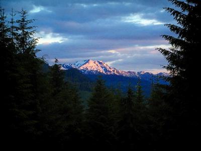Last Light