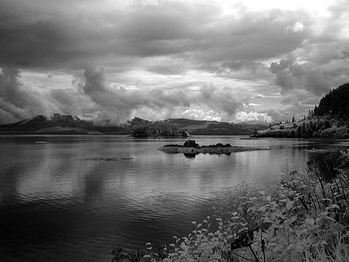 P9017435