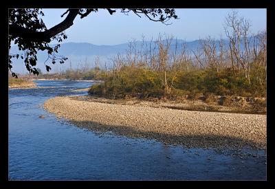 Ramganga River 02