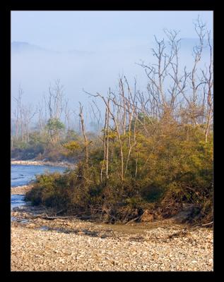 Ramganga River 01