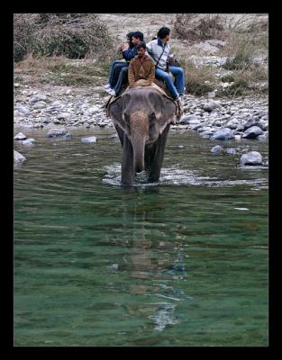 Crossing on Elephant