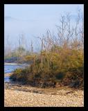 Ramganga River 01