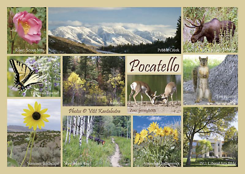 Pocatello Postcard, a 6x8.5 mailable card printed by Modern Postcard and available in local stores