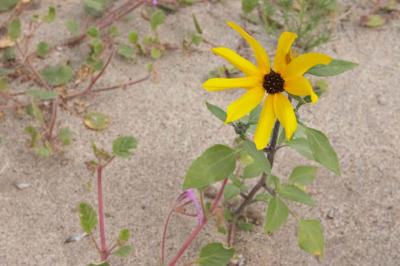 CRW_2402.jpg
