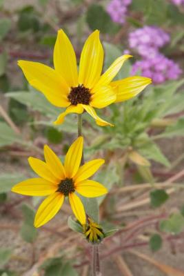 CRW_2405.jpg
