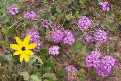 CRW_2408.jpg