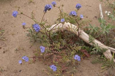 CRW_2428.jpg