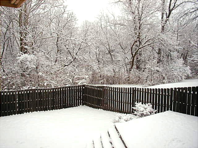 snow7.JPG