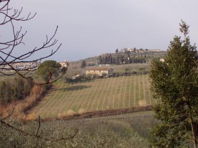 P3090146.JPG