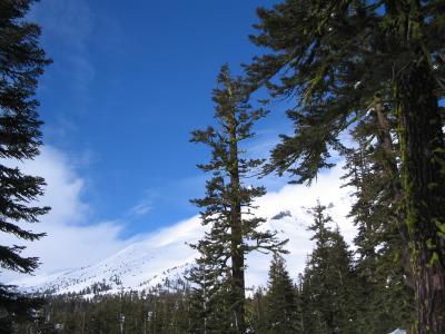 Looking north up the ridge on the wrong slope