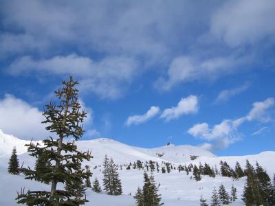 Looking east from the top of the wrong ridge