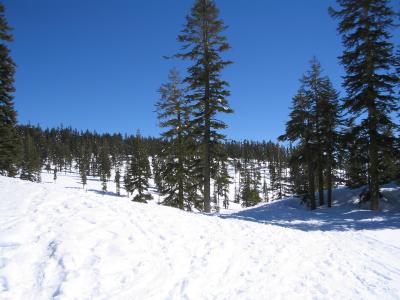 This is on the split, looking toward the parking lot