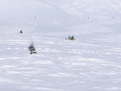 Blurry skiers